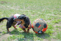picnic_land_C-0114.jpg