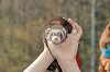 picnic_land_C-0121_thumb.png