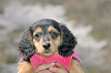 picnic_land_C-0124_thumb.png
