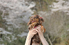 picnic_land_C-0128_thumb.png