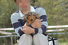 picnic_land_C-0130_thumb.png