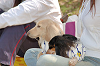 picnic_land_C-0133_thumb.png