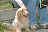 picnic_land_C-0134_thumb.png