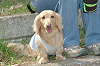 picnic_land_C-0135_thumb.png