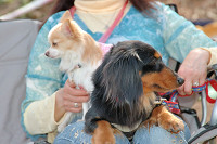 picnic_land_C-0136.jpg
