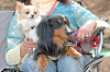 picnic_land_C-0137_thumb.png