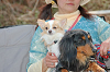 picnic_land_C-0138_thumb.png