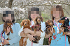 picnic_land_C-0139_thumb.png