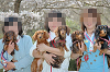 picnic_land_C-0140_thumb.png