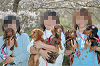 picnic_land_C-0141_thumb.png