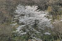 picnic_land_C-0143.jpg