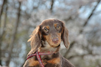 picnic_land_C-0149.jpg