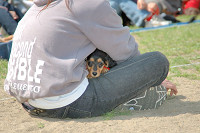 picnic_land_C-0158.jpg