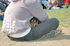 picnic_land_C-0158_thumb.png
