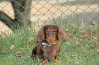 picnic_land_C-0159.jpg