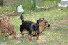 picnic_land_C-0165_thumb.png