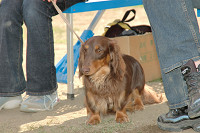 picnic_land_C-0167.jpg