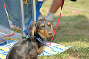picnic_land_C-0170_thumb.png