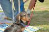 picnic_land_C-0171_thumb.png