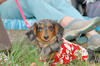 picnic_land_C-0172.jpg