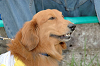 picnic_land_C-0174_thumb.png