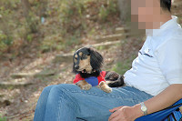 picnic_land_C-0175.jpg