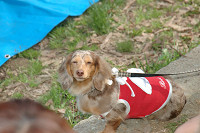 picnic_land_C-0178.jpg