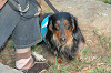 picnic_land_C-0181_thumb.png