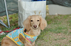 picnic_land_C-0182_thumb.png