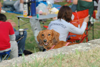 picnic_land_C-0183.jpg