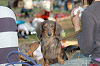 picnic_land_C-0184_thumb.png