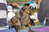 picnic_land_C-0185_thumb.png
