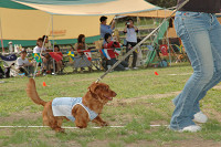 picnic_land_C-0187.jpg
