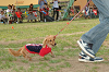picnic_land_C-0188_thumb.png