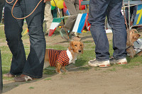 picnic_land_C-0191.jpg