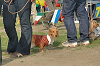 picnic_land_C-0191_thumb.png
