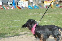 picnic_land_C-0192.jpg