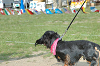 picnic_land_C-0192_thumb.png