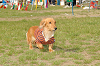 picnic_land_C-0193_thumb.png