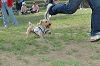 picnic_land_C-0195_thumb.png