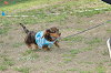 picnic_land_C-0202_thumb.png