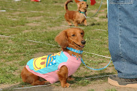 picnic_land_C-0203.jpg