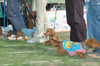 picnic_land_C-0204.jpg