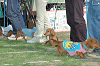 picnic_land_C-0204_thumb.png