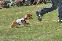 picnic_land_C-0206.jpg