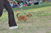 picnic_land_C-0208_thumb.png