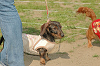 picnic_land_C-0209_thumb.png
