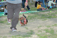 picnic_land_C-0210.jpg