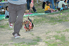 picnic_land_C-0210_thumb.png