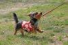 picnic_land_C-0211_thumb.png